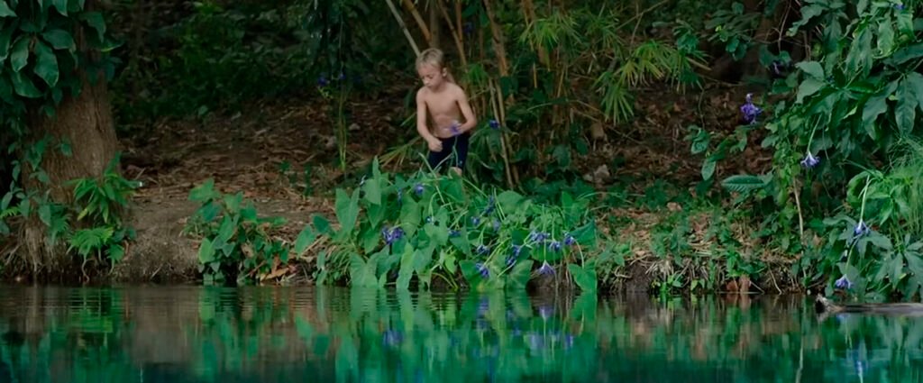 Gabriel Serra - Dop - Flores Silvestres